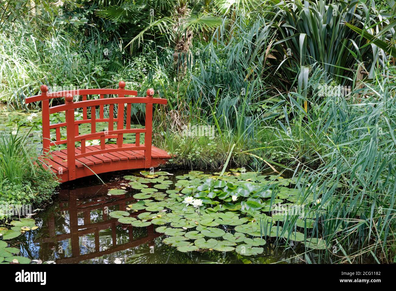 Saint Cyr en Talmondais, Frankreich. August 2020. Japanische Brücke und Seerose im Parc Floral et Tropical de la Court d'Aron Stockfoto