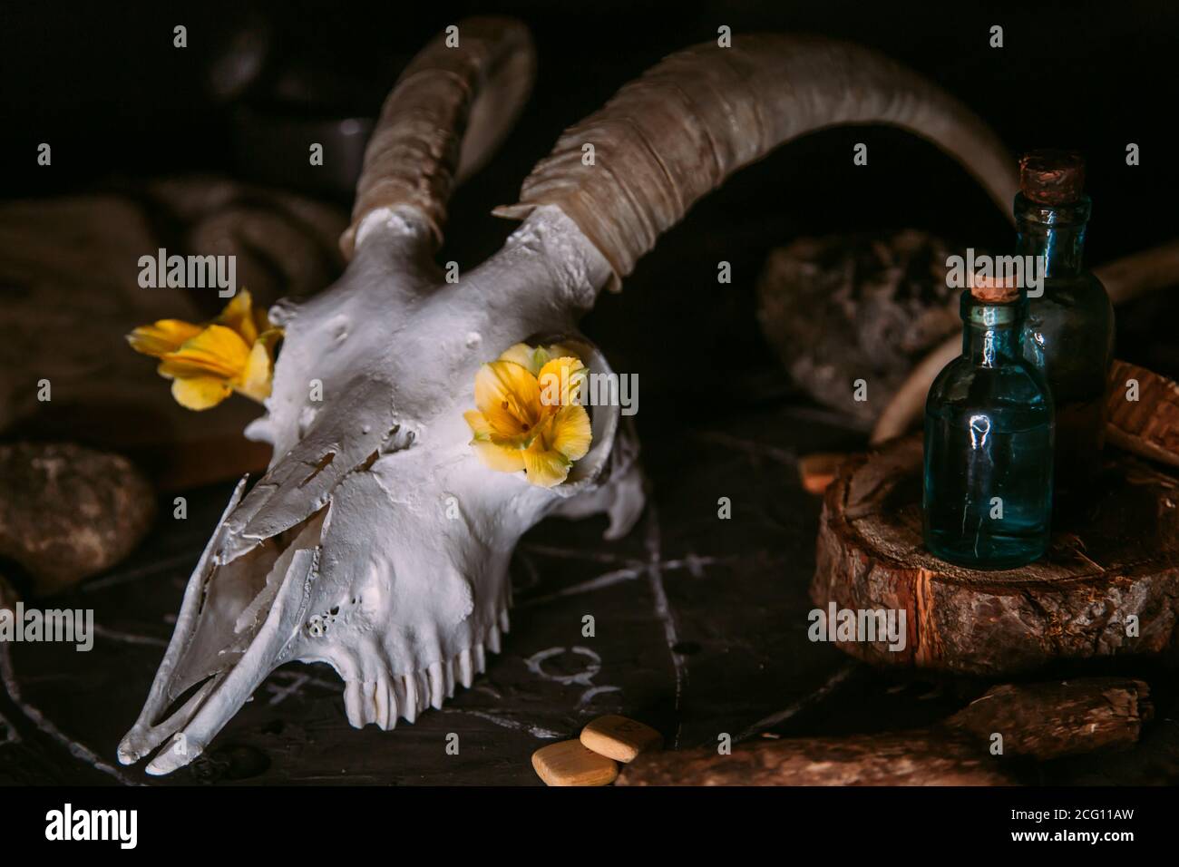 Weiße Ziegenmöwe mit Hörnern, Blumen, offenes altes Buch, Kerzen auf Hexentisch. Okkult, esoterisch, Weissagung und Wicca-Konzept. Halloween, Tag der dea Stockfoto