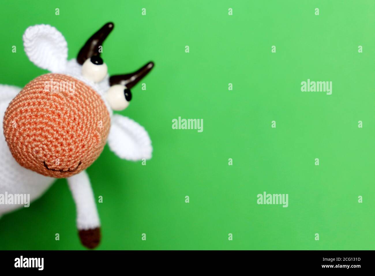 Weißer gestrickter Spielzeugbulle auf grünem Hintergrund, Neujahrsgrusskarte mit freiem Platz für Text. Chinesisches Jahr der Bulle, Sternzeichen 2021 Stockfoto