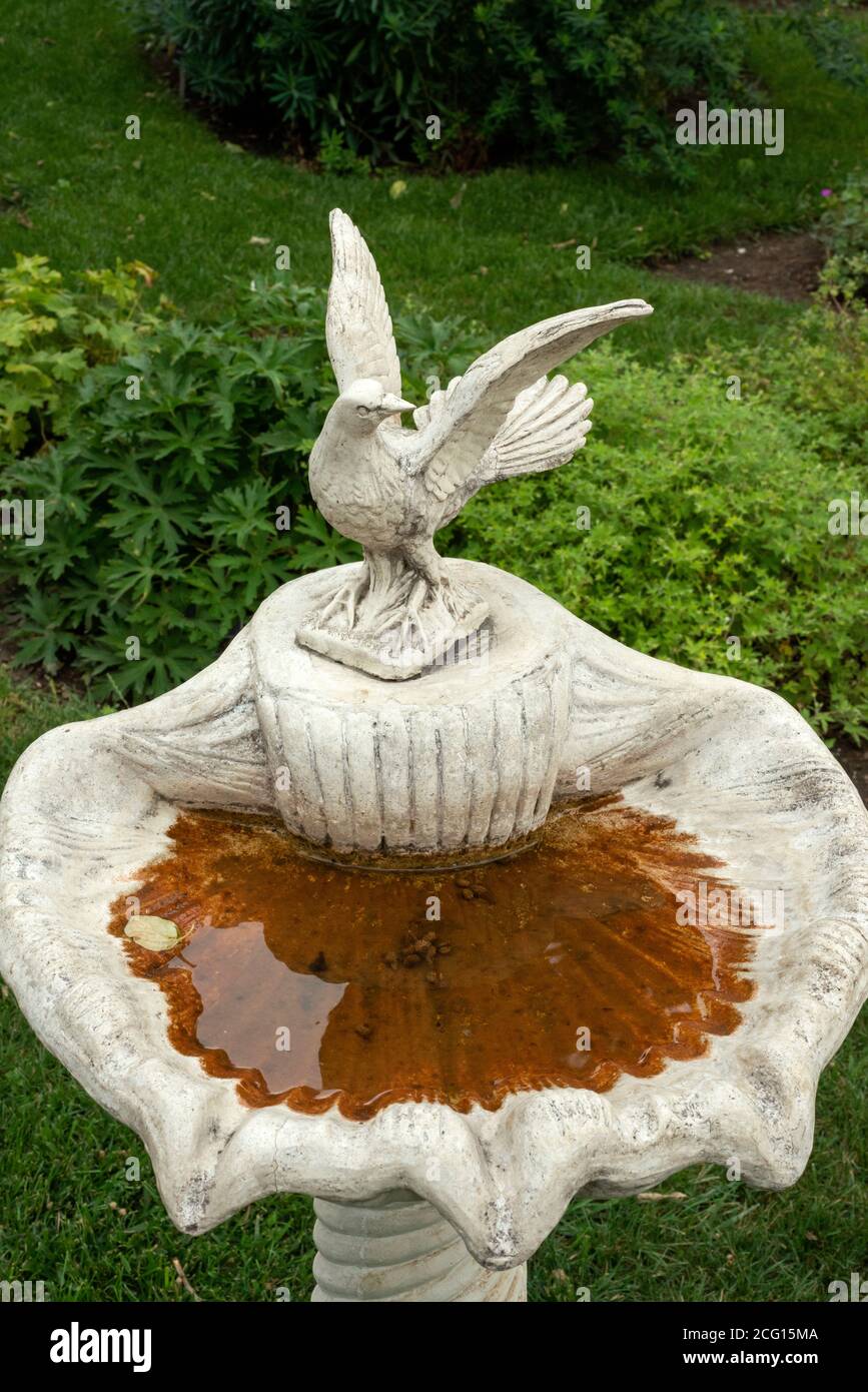 Stein Vogelbad Mit Wasser Stockfotos Und Bilder Kaufen Alamy