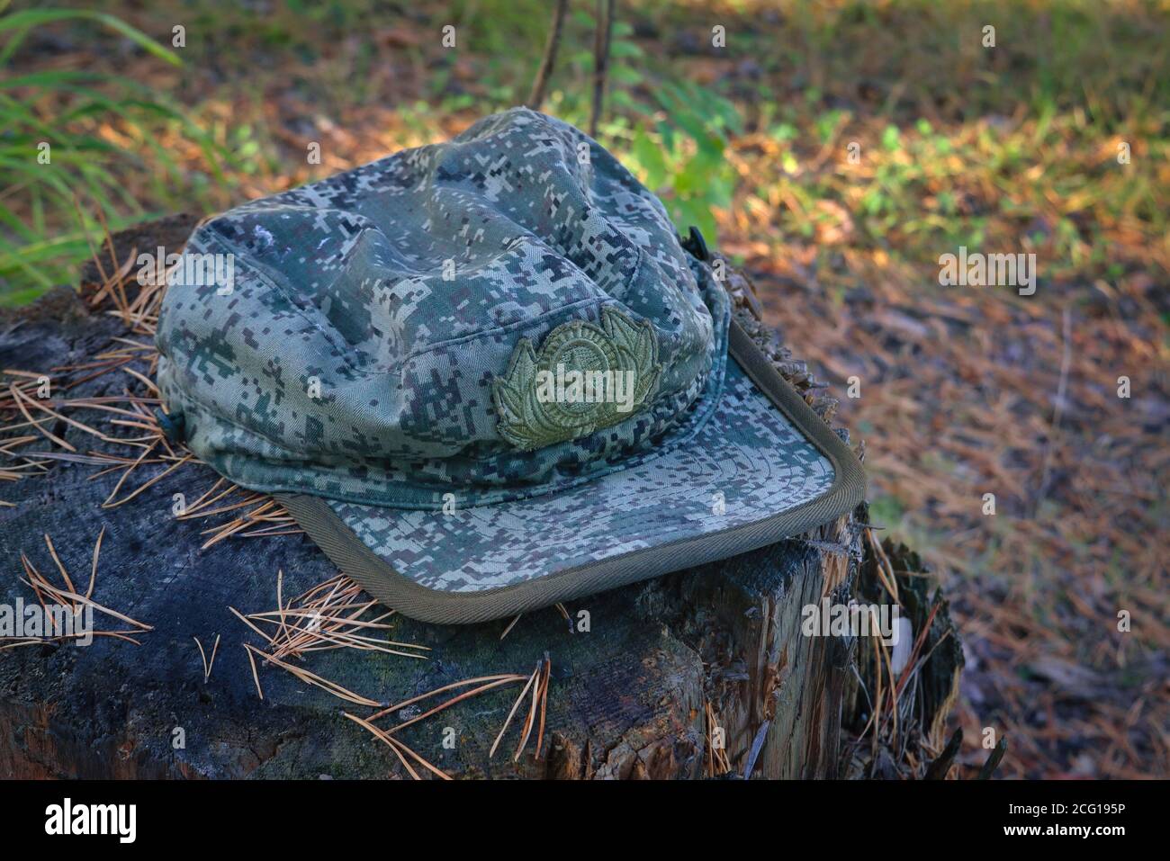 Russische Tarnung militärische Mütze auf einem alten Baumstumpf im Wald. Stockfoto