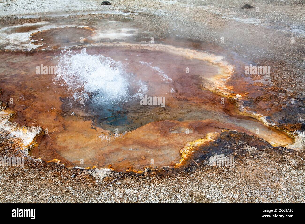 Yellowstone's Geysire und Thermal Vents Stockfoto