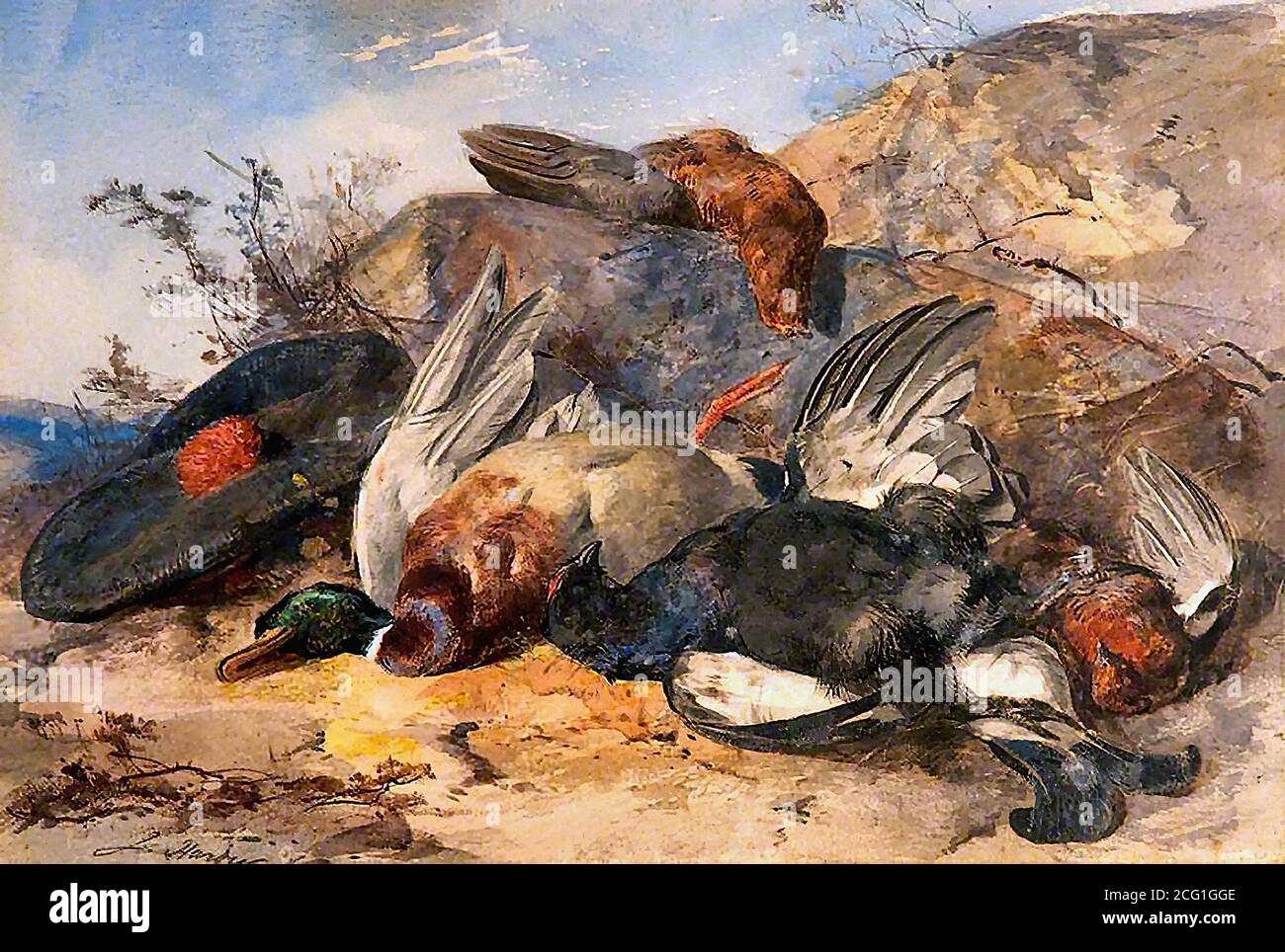 Hardy II James - Gaming Birds - British School - 19. Jahrhundert Stockfoto