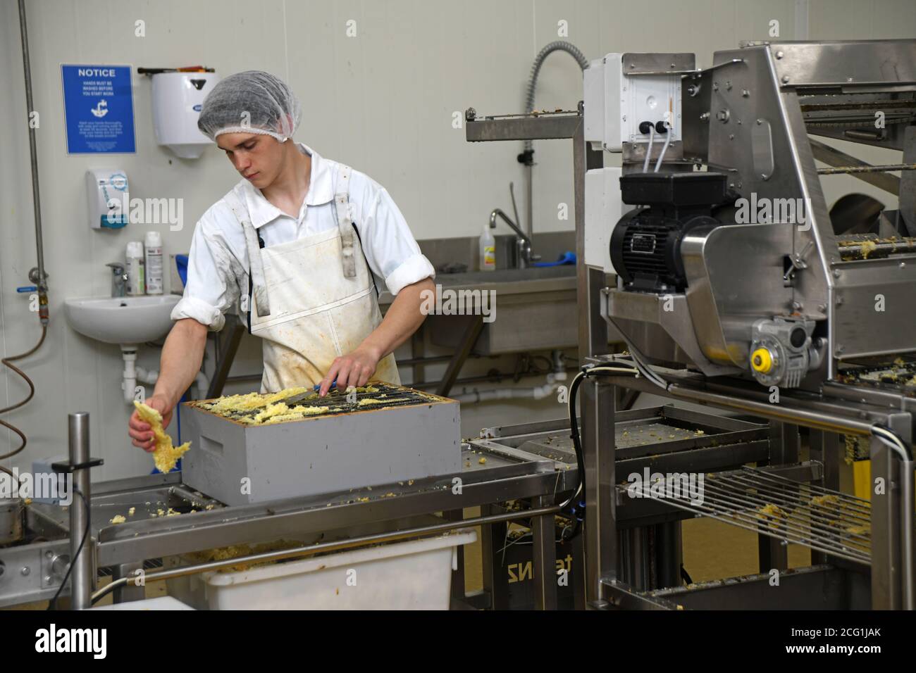 GREYMOUTH, NEUSEELAND, 10. DEZEMBER 2019: Ein Arbeiter reinigt Bienenboxen von der Wabe, bevor er die Rahmen trennt, um durch den Abzieher zu gehen. Stockfoto