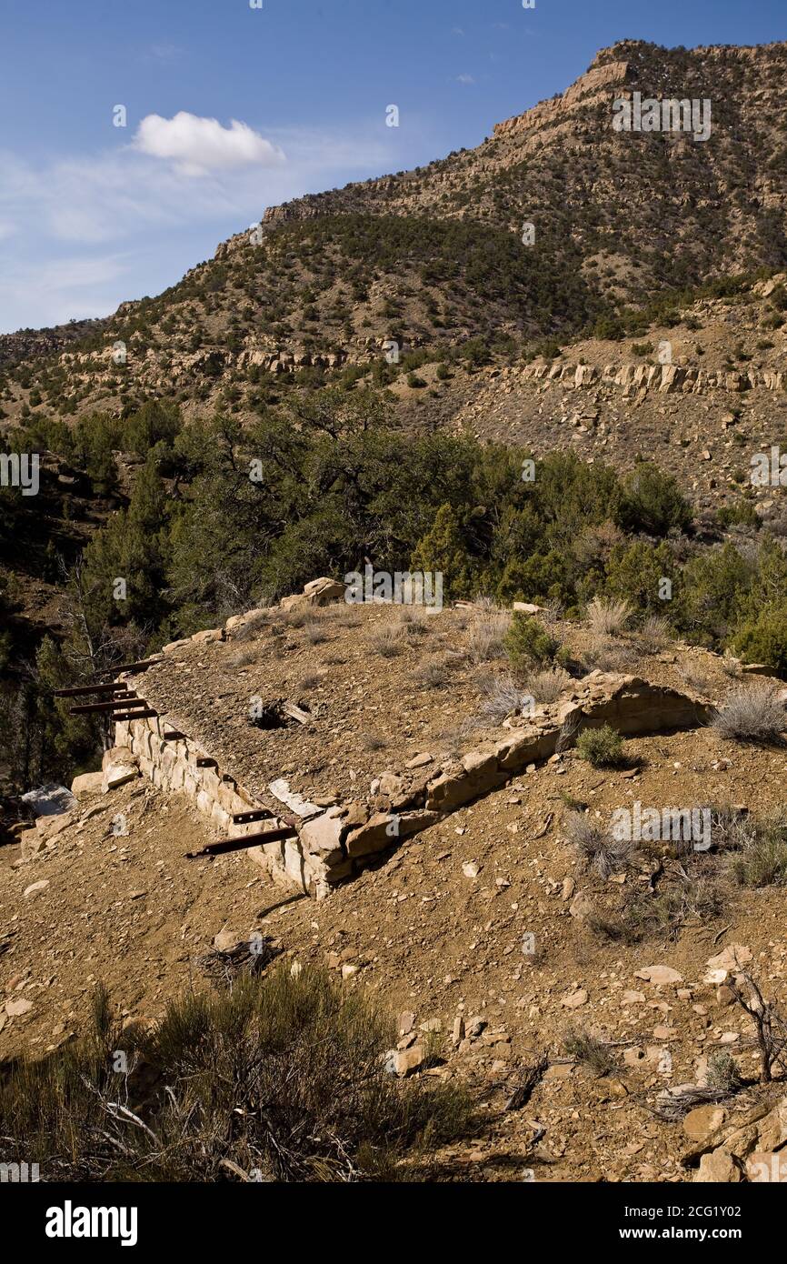 Die Geisterstadt Sego wurde 1910 als Kohlebergbaustadt in Sego Canyon, Utah, gegründet, um der Eisenbahn in Thompson Springs, fünf Meilen (8 km), Kohle zu liefern Stockfoto