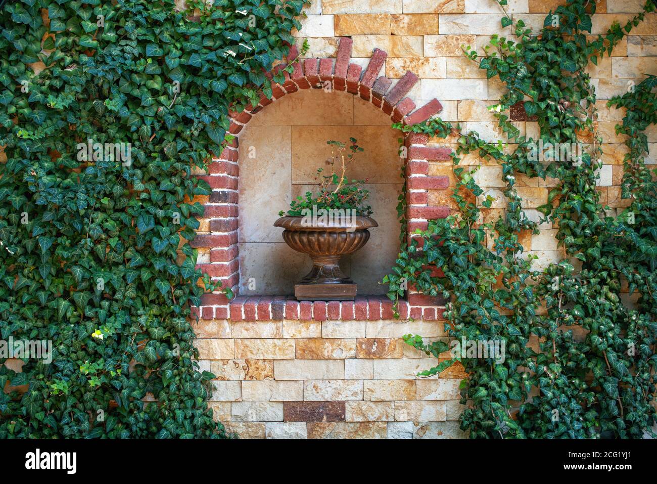 Wandblumentopf mit Pflanzen, auen. Steinwand mit Blumen verziert. Die Wand  des Gebudes ist mit Efeu bedeckt Stockfotografie - Alamy