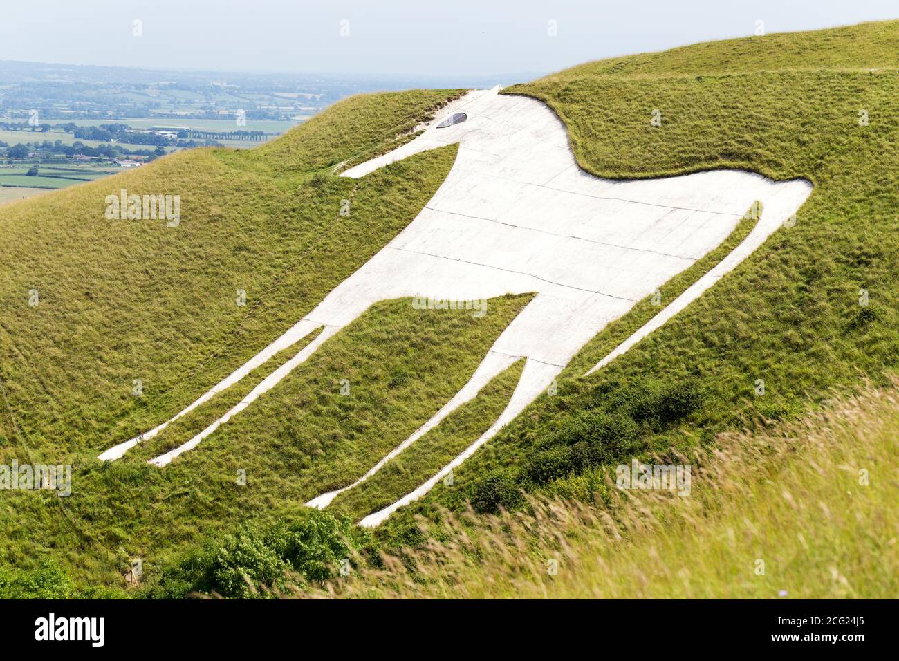 White Horse auf Hügel in Wiltshire, England, die in Kreide Grasland in den späten 1600er Jahren geschnitzt wurde, Legend suggerieren es geschaffen wurde, um König zu gedenken Stockfoto