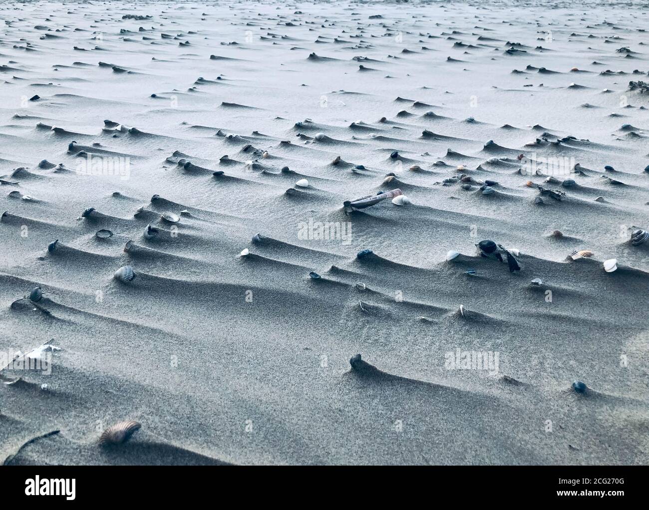Entlastung im Sand durch Muscheln und Wind Stockfoto