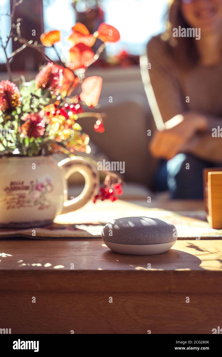 Frau im Gespräch mit Smart Speaker zu Hause Stockfoto
