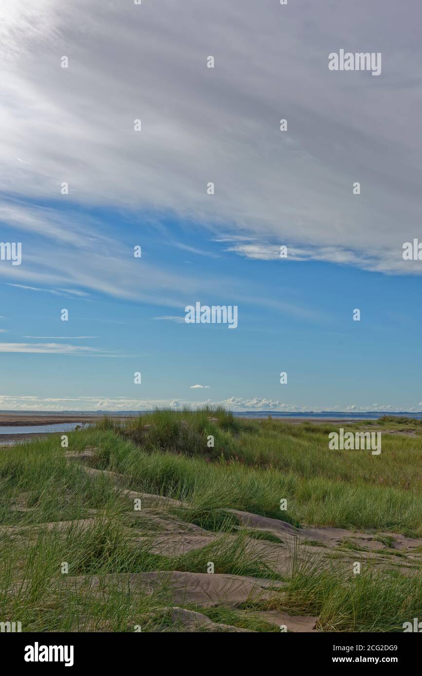 Die lee-Seite der kleinen Gras bedeckt welligen Dünen bei Tentsmuir Point Blick nach Süden in Richtung Saint Andrews, mit Wind geformten Abhänge von Sand. Stockfoto
