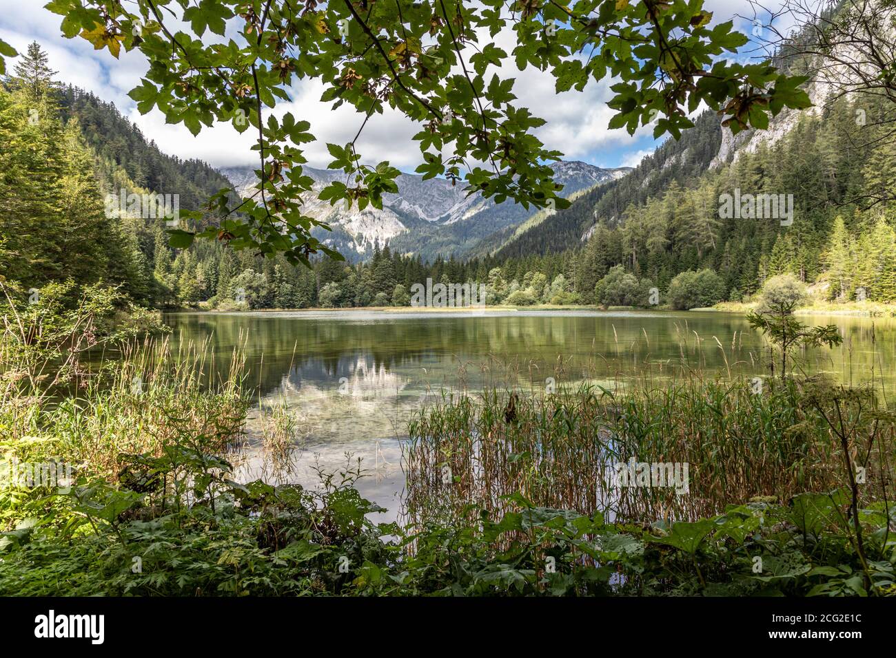 Bergsee alias Dürrsee (Dürrsee) bei Seewiesen in der Steiermark, Österreich Stockfoto
