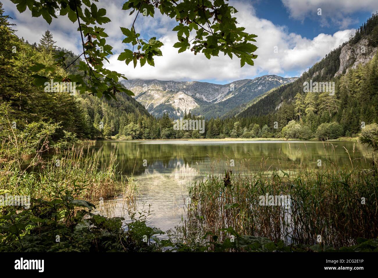 Bergsee alias Dürrsee (Dürrsee) bei Seewiesen in der Steiermark, Österreich Stockfoto