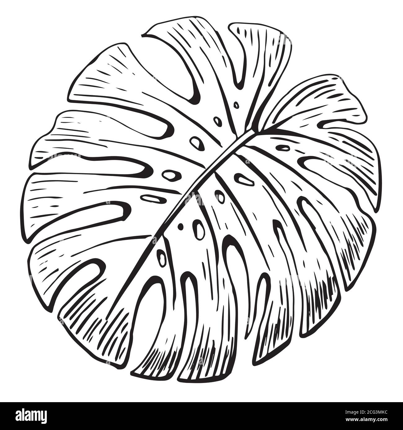 Monstera Blatt - eine Linie Zeichnung. Kontinuierliche Linie exotische Pflanze. Handgezeichnete minimalistische Illustration, Vektor Stock Vektor