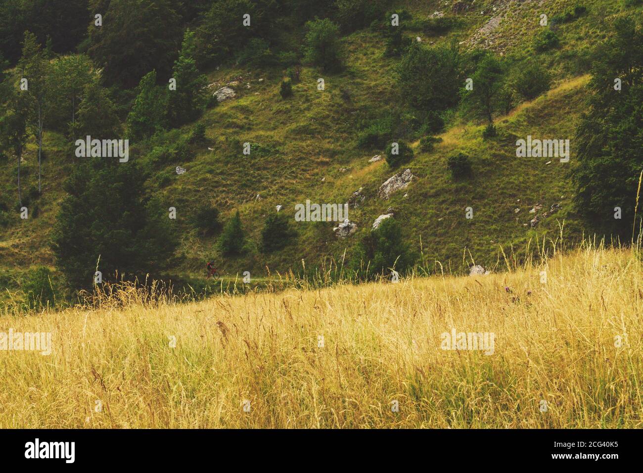 Mann Mountainbiken entlang einer Straße Stockfoto