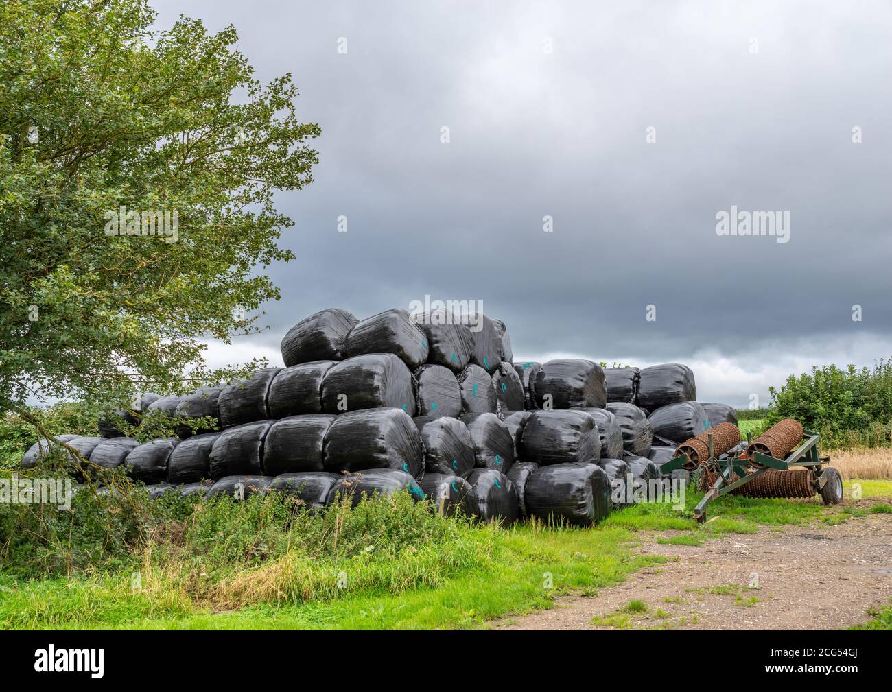 Hat Ballen gerollt und in schwarzem Kunststoff umwickelt neben einem Traktor Boden loosender. Stockfoto