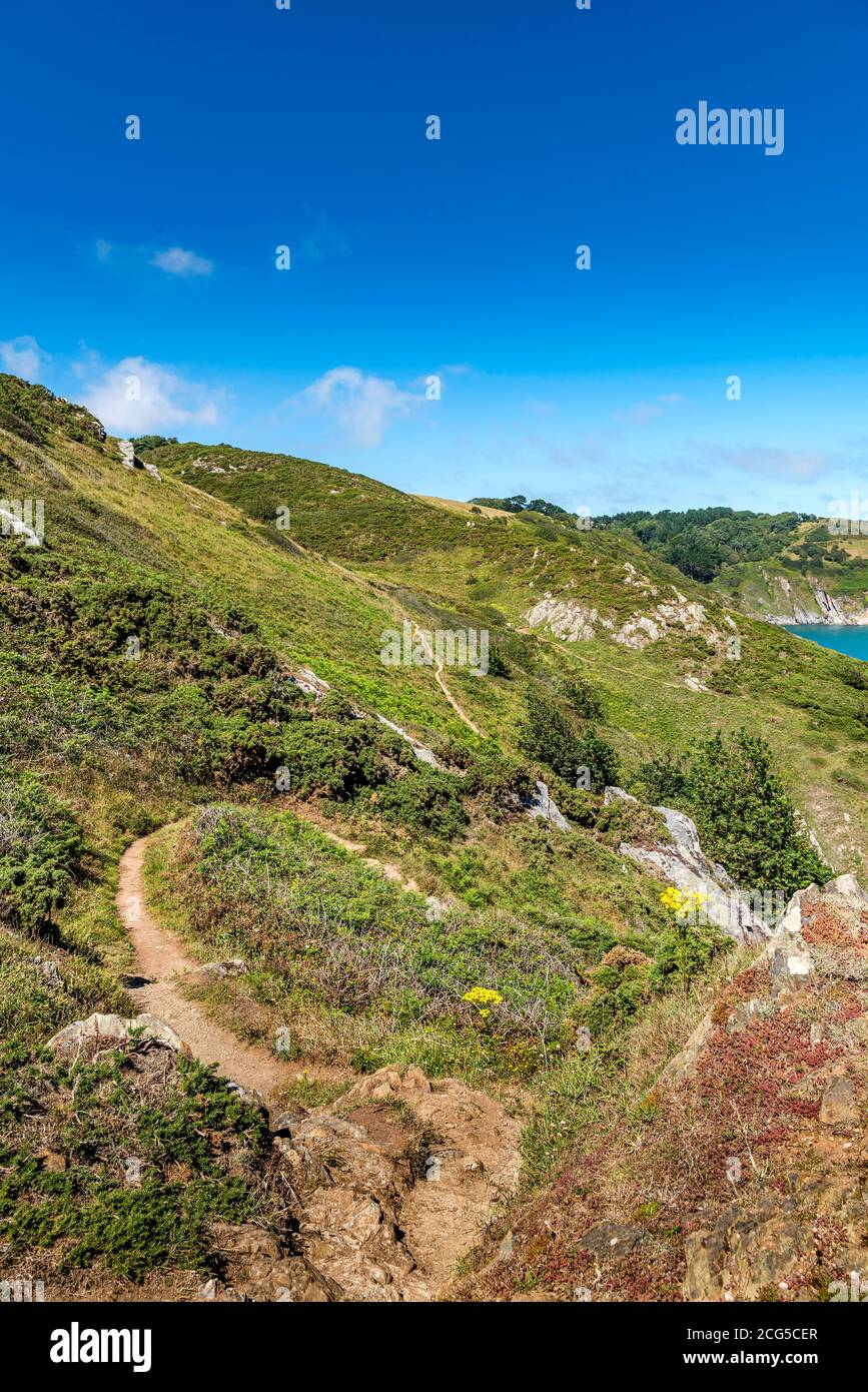 Der südwestliche Küstenweg östlich von Kingswear in South Devon. Stockfoto