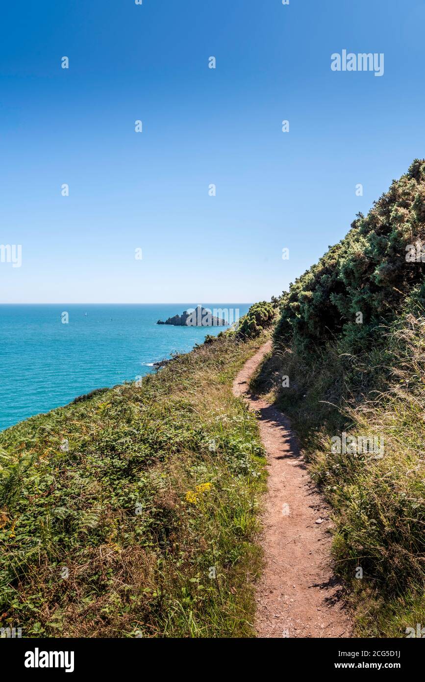 Der südwestliche Küstenweg östlich von Kingswear in South Devon. Stockfoto