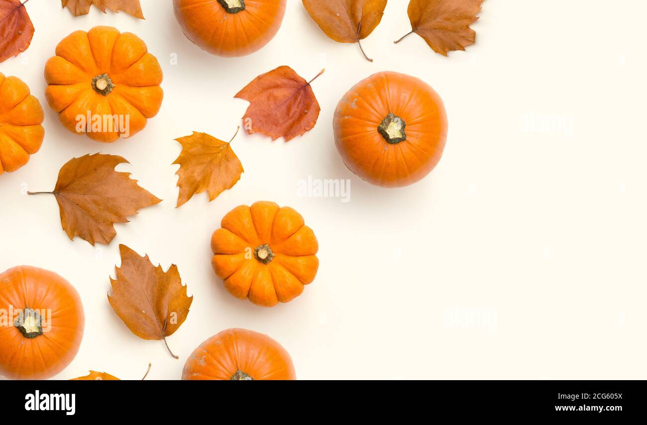 Ein zeitgemäßer Herbstrahmen Hintergrund mit Kürbissen und Herbstblättern. Stockfoto