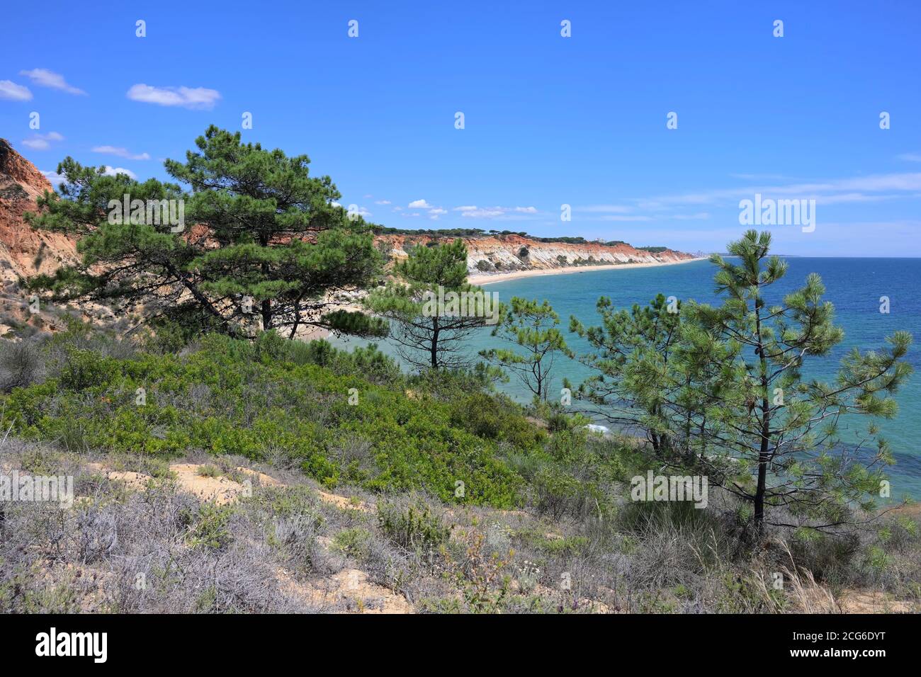 Praia da Falesia Beach, Albufeira, Algarve, Portugal Stockfoto