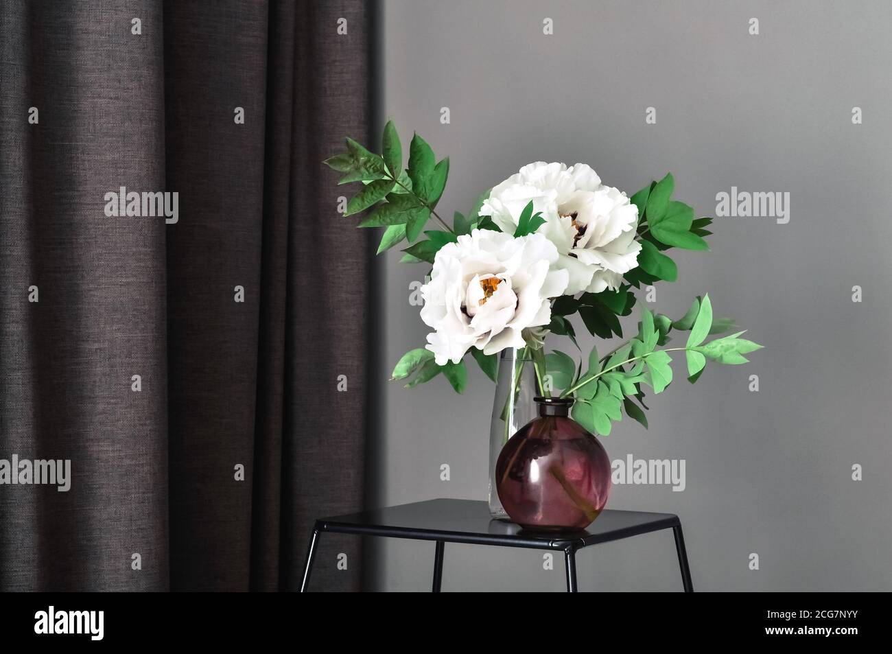 Zwei weiße Pfingstrosen Blumen in Glasvase auf Couchtisch neben Fenster mit Vorhang auf dunklem Hintergrund der häuslichen Innenausstattung. Kopieren Raum dunkle Stimmung Stockfoto