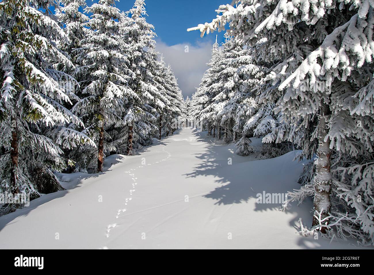 Fichtelberg (Erzgebirge) Stockfoto