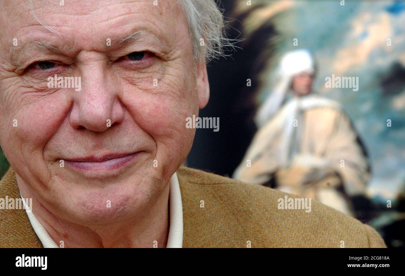Sir David Attenborough während einer Fotoausstellung außerhalb der Tate Britain, im Zentrum von London, um den Cetenary-Appell der National Art Collections zu starten, Sir Joshua Reynolds Prtrait von 'Omai' für die Nation zu retten. Die Arbeit ist eines von mehreren noch offenen Posten, die derzeit von einem Export ins Ausland bedroht sind. Stockfoto
