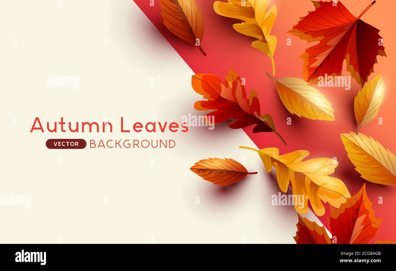Herbst saisonalen Hintergrund Rahmen mit fallenden Herbstblättern und Copy Space. Vektorgrafik Stock Vektor