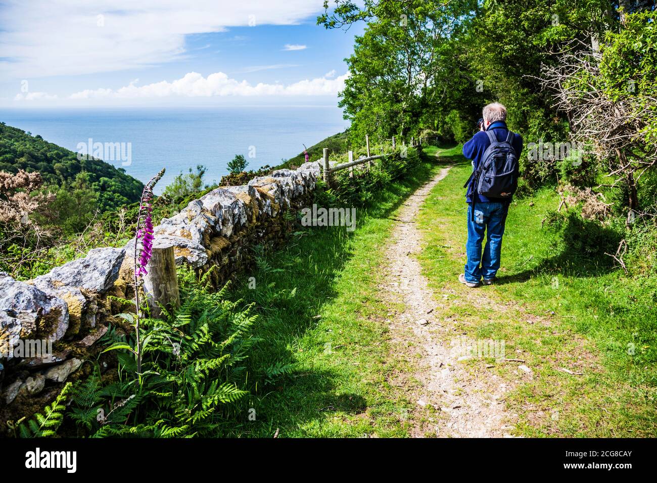 Ein männlicher Wanderer mittleren Alters macht Fotos entlang des South West Coast Path in der Nähe von Lynton in North Devon. Stockfoto