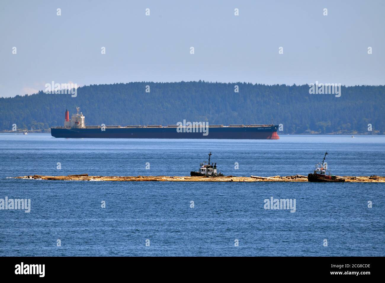 Zwei Schlepper, die einen Holzboom vor einem Ozeanschiff arbeiten, das im Stuart Kanal nahe Vancouver Island British Columbia Kanada vor Anker liegt. Stockfoto