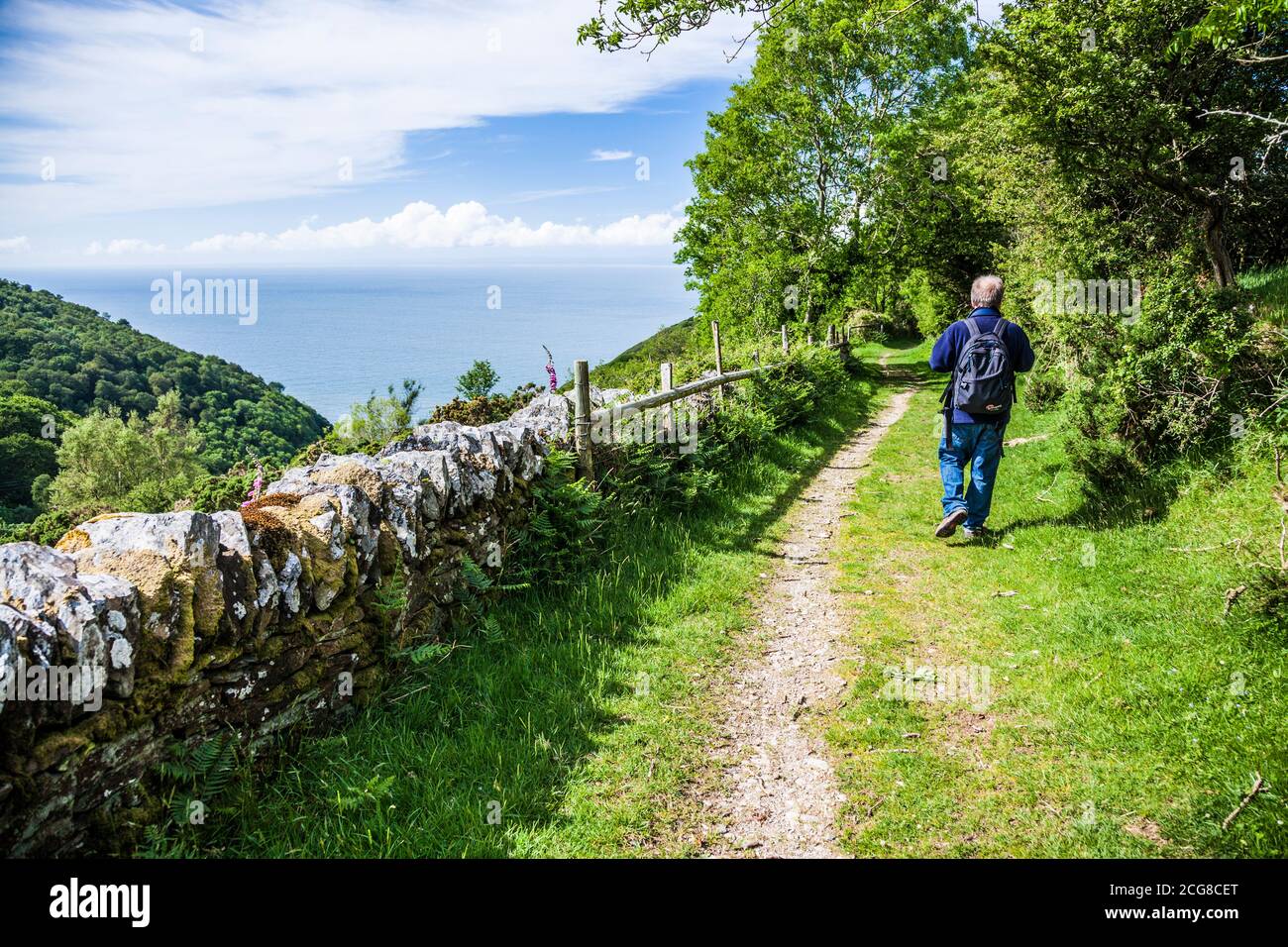 Ein männlicher Wanderer mittleren Alters, der den South West Coast Path in der Nähe von Lynton in North Devon entlang geht. Stockfoto
