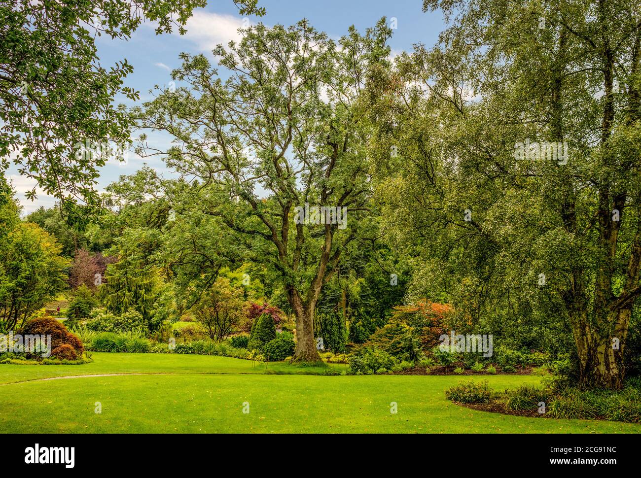 Rasenflächen und Blumenränder in RHS Harlow Carr, Harrogate, North Yorkshire, Großbritannien Stockfoto