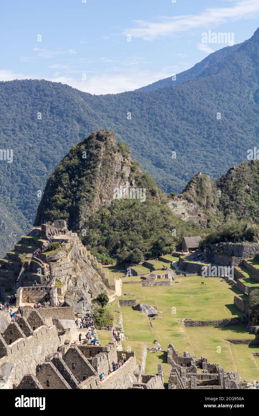 Szenen aus den Ruinen und der Inka-Stadt Machu Picchu in Zentral-Peru in Südamerika Stockfoto