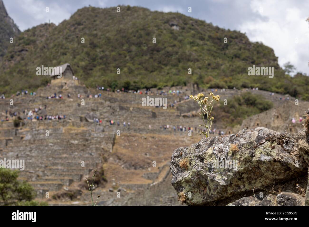 Szenen aus den Ruinen und der Inka-Stadt Machu Picchu in Zentral-Peru in Südamerika Stockfoto