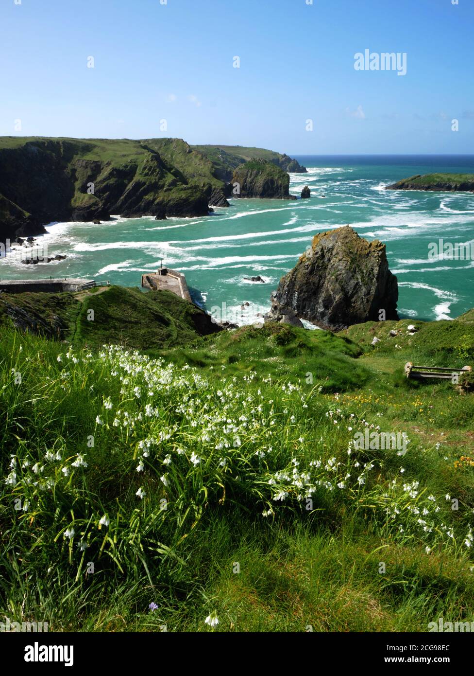 Türkisfarbenes Meer vor dem Hafen von Mullion und der Insel, der Lizard, Cornwall. Stockfoto