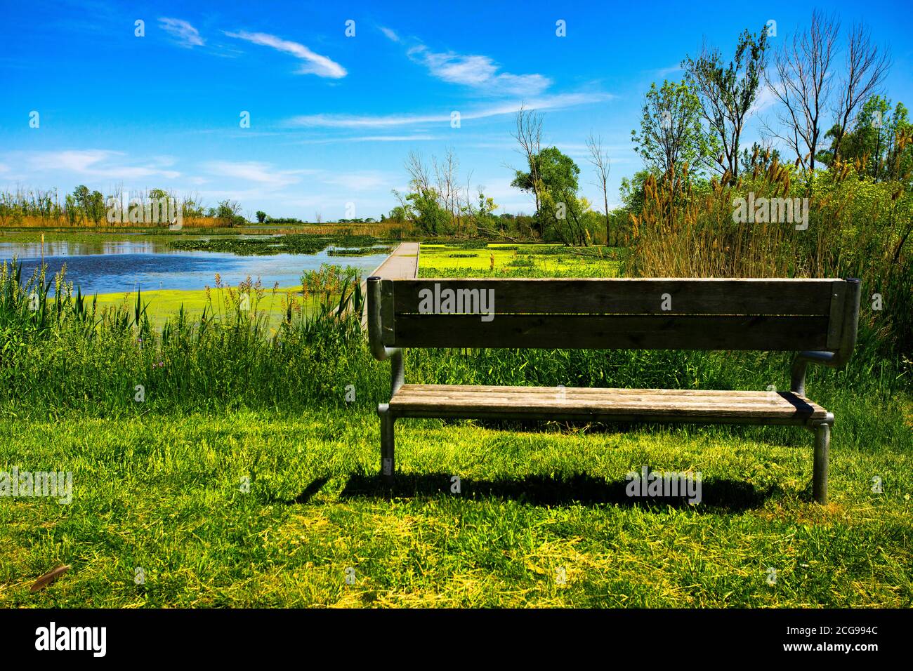 Erholungsbank Pause mit Blick auf entfernten blauen See an einem klaren Sommertag. Stockfoto