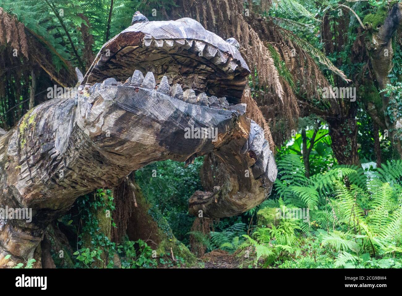 Ein Dinosaurier, der vom Künstler Pieter Koning in den Gärten des Kells Bay House, Kells, County Kerry, Irland, aus einem gefallenen Baum geschnitzt wurde. Stockfoto