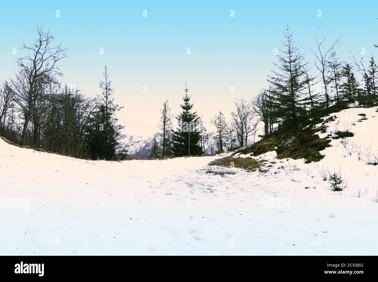 Silhouette von Pinien auf einem verschneiten Berg. Winterlandschaft mit Sonnenaufgang in Norwegen. Stockfoto