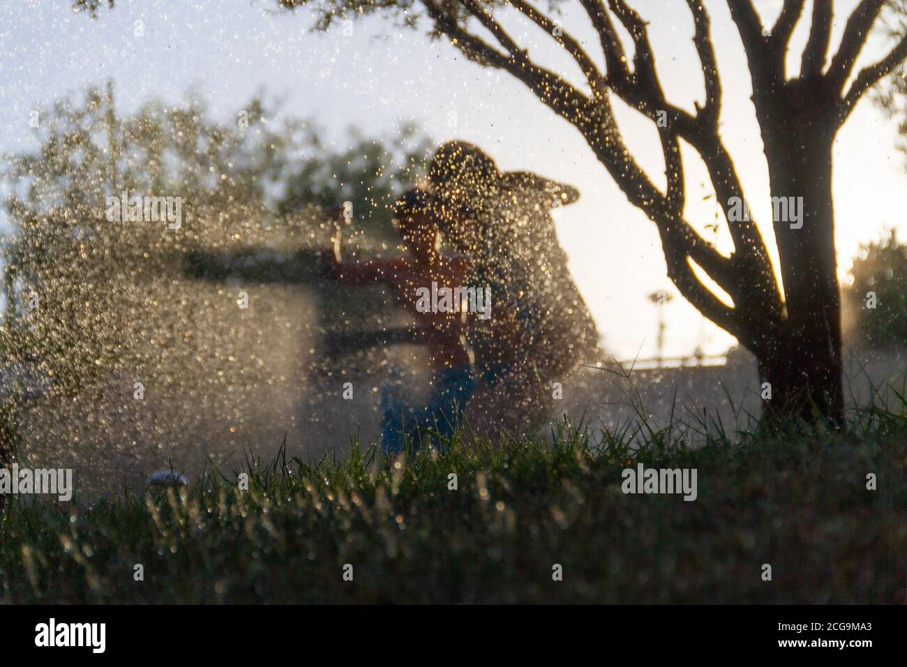 Silhouetten von Kindern, die mit dem Wasser spielen, das kommt Aus den Sprinklern einen Garten mit dem zu bewässern Sonne gegen das Licht, das im dr reflektiert wird Stockfoto