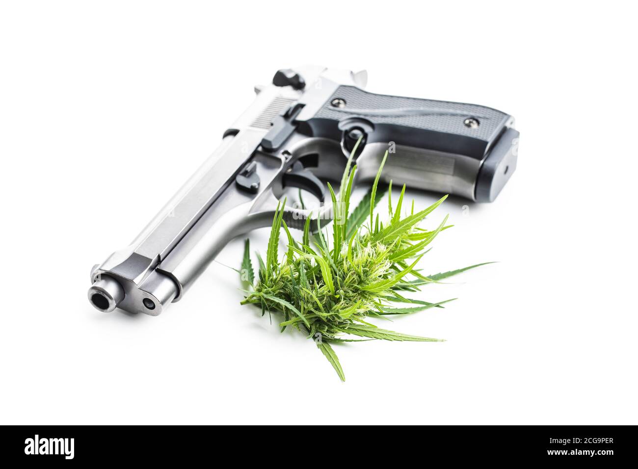 Marihuana Knospen Blüten von Cannabis und Hangun isoliert auf weißem Hintergrund. Stockfoto