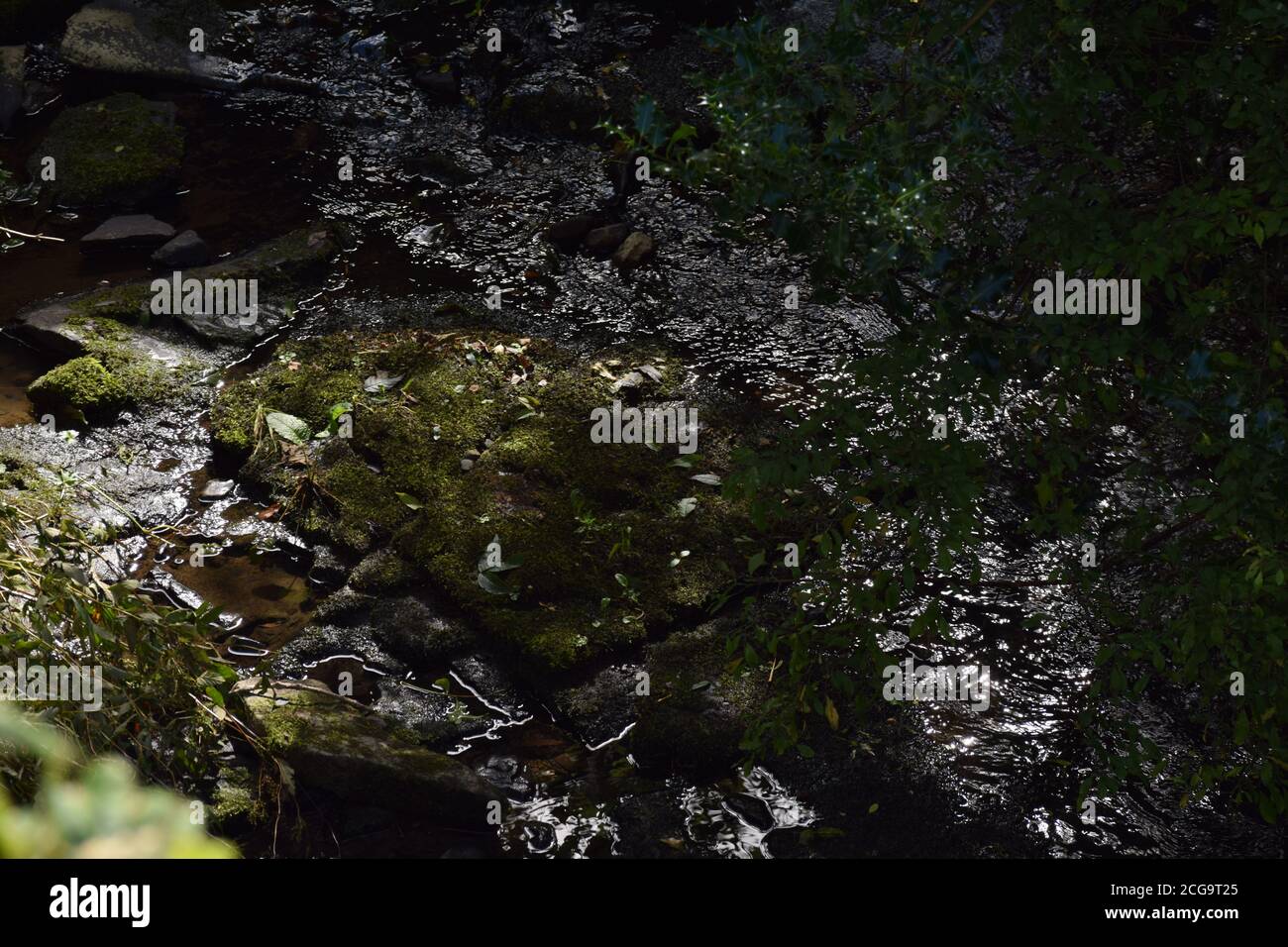 Kleiner Fluss in Cretyard Co. Laois Irland Stockfoto