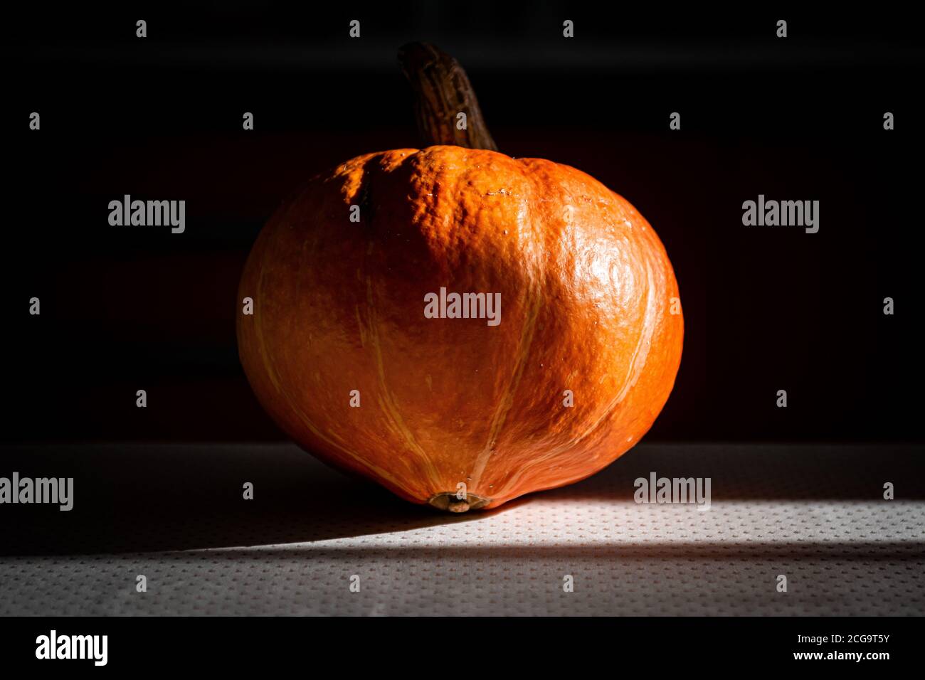 Herbstdeko oranger Kürbis, zubereitet für Suppe oder halloween Stockfoto