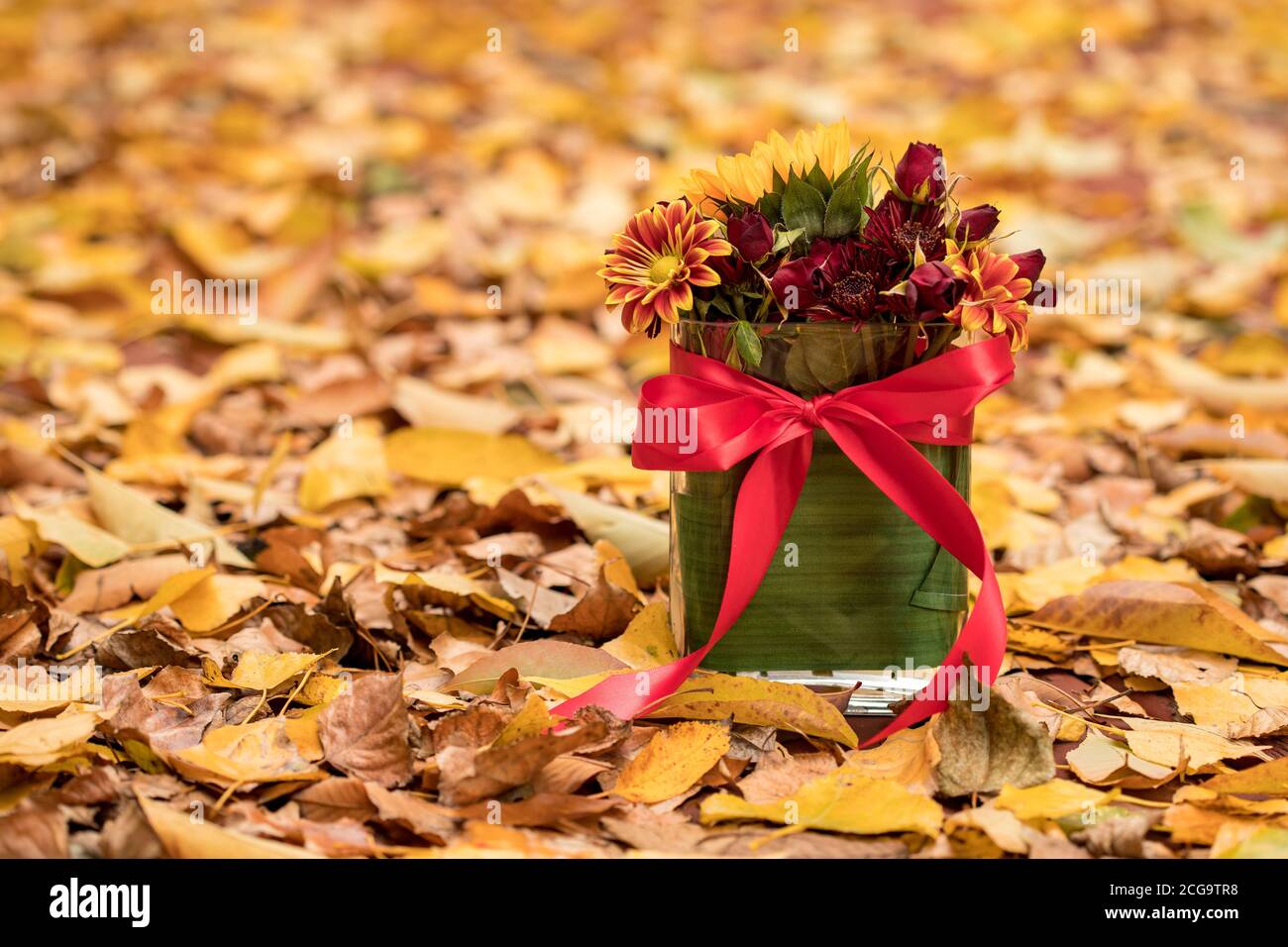 Schöne Blumenarrangement in Vase unter Herbstblättern Stockfoto