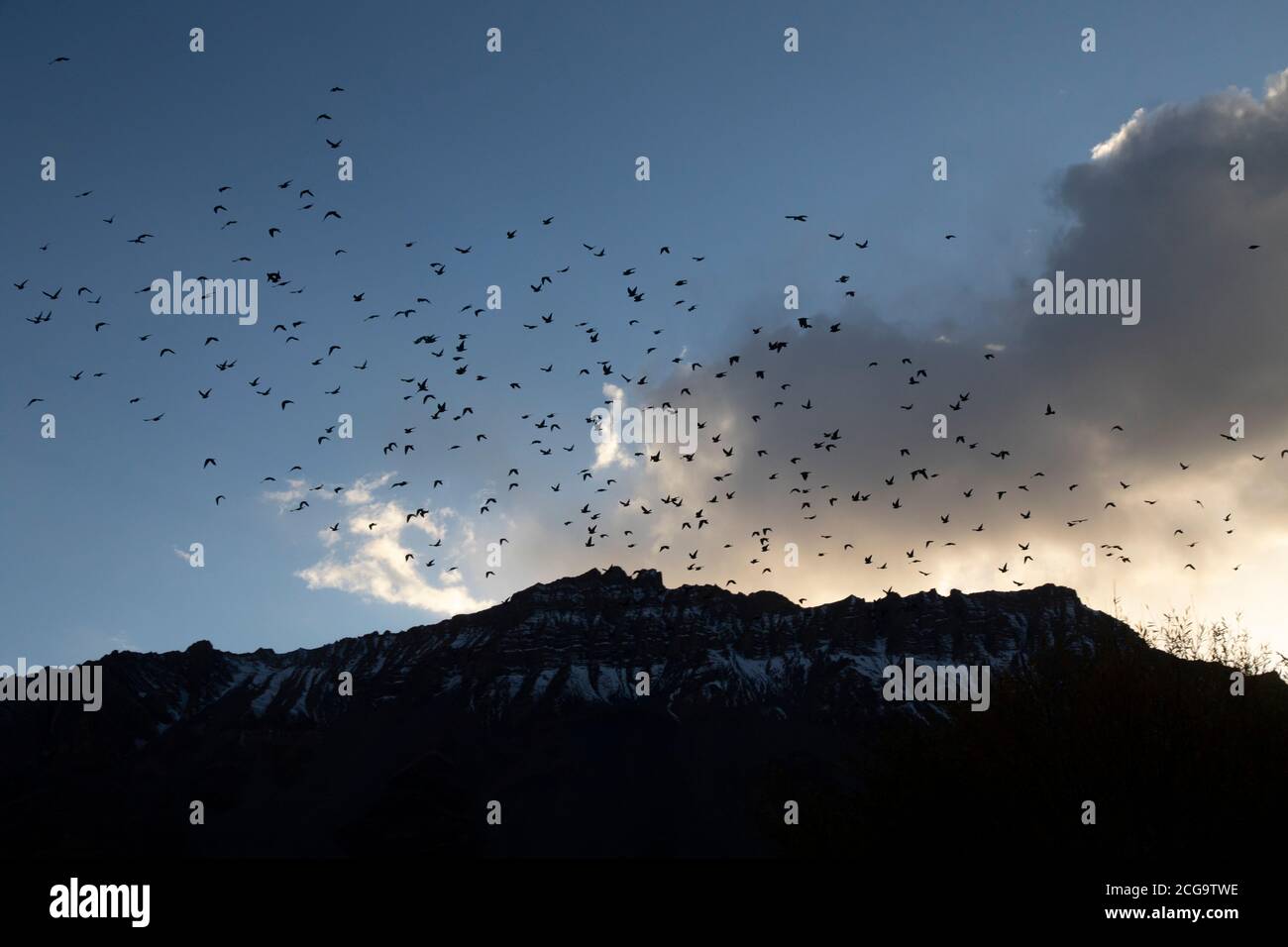 Natürliche Texturen und seltsame Muster aus Hügeln und Flüssen des Spiti Valley - Licht und Schatten, Touristenfahrzeug und Vögel Stockfoto