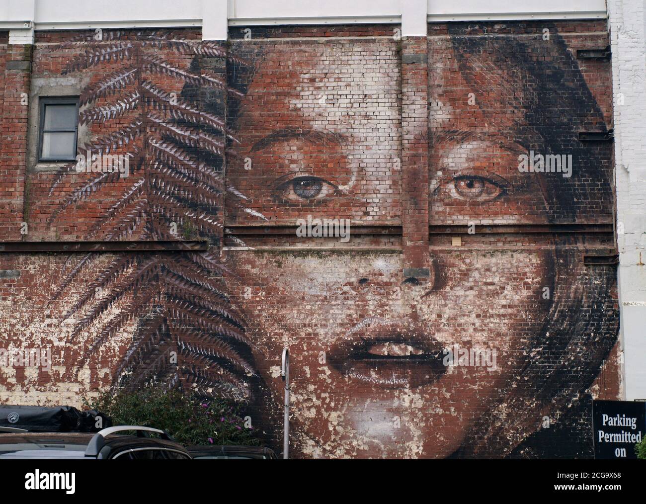 Dramatische Street Art in Christchurch, Neuseeland gefunden Stockfoto