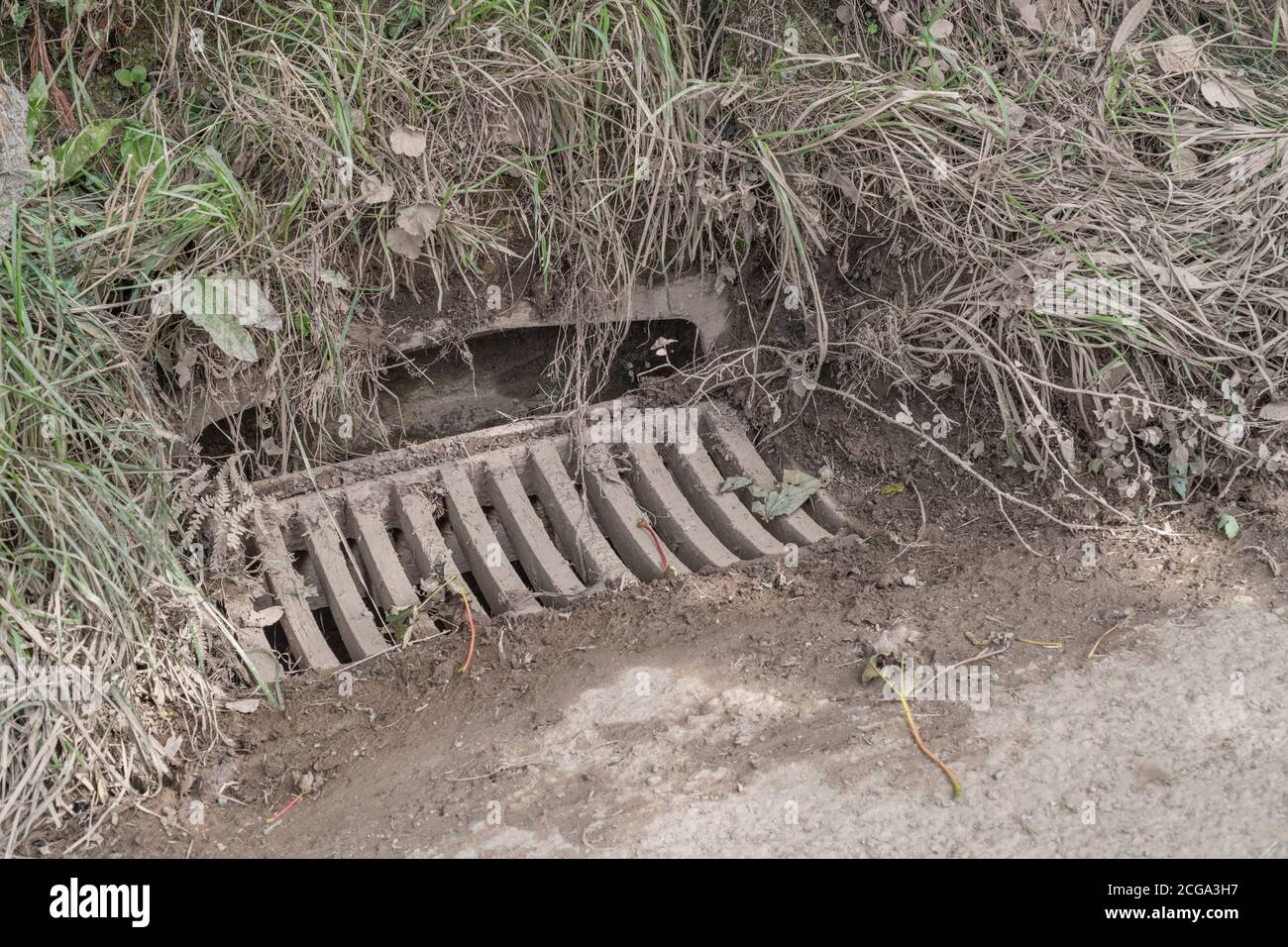 Ländliche Landstraße Abfluss nach sintflutartigen Regenfällen, zeigt Anzeichen von schlammigem Wasser Beschichtung des Grases und andere Laub. Für 'den Abfluss zu verlieren', Geld verschwenden. Stockfoto