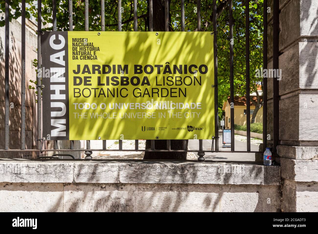 Tropischer Botanischer Garten im Zentrum von Lissabon, Portugal Stockfoto