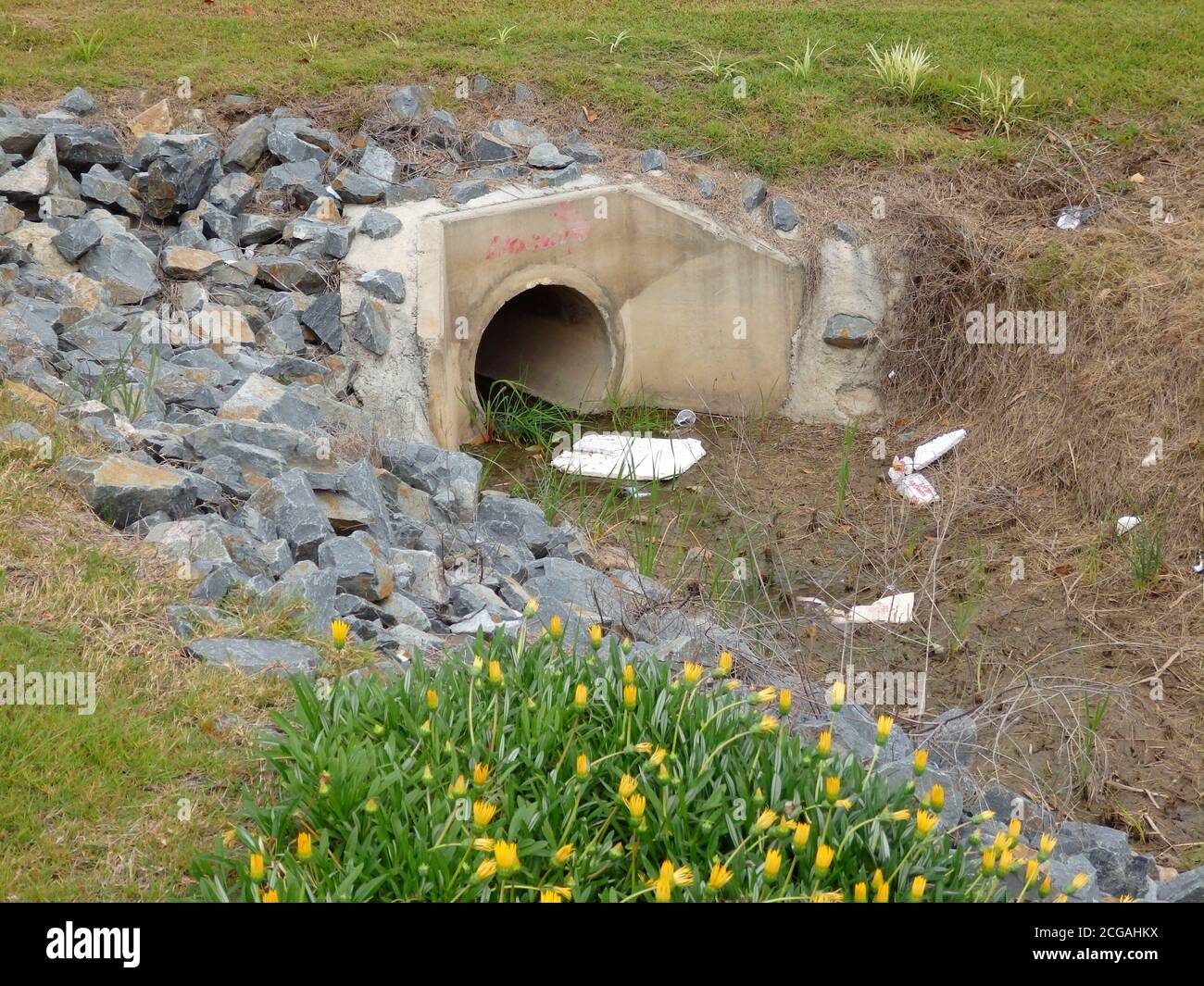 Vorstadtstormwater Outlet, Queensland, Australien Stockfoto