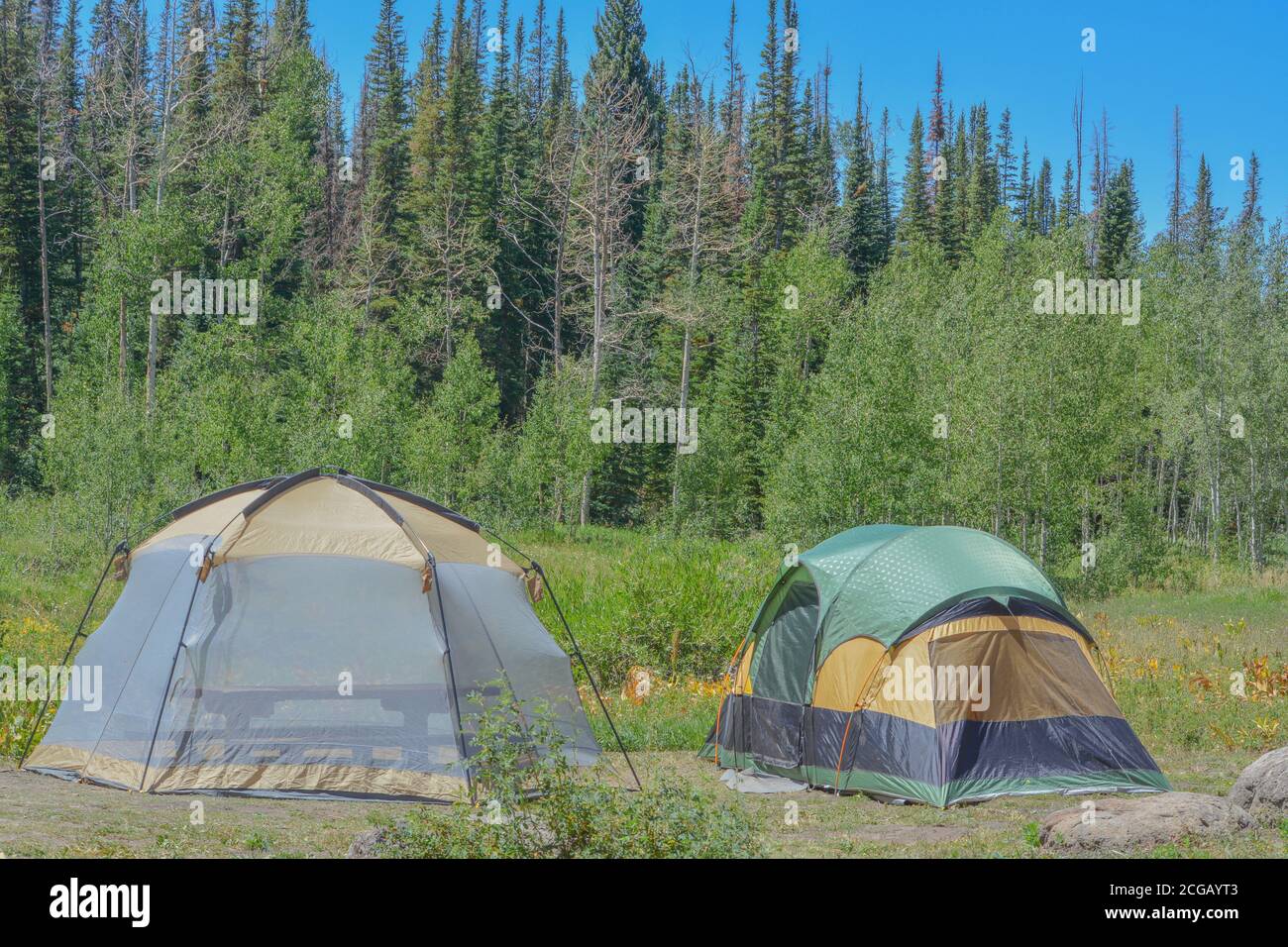 Escape to Serenity:  Freeman Reservoir Campground, Colorado's Hidden Gem