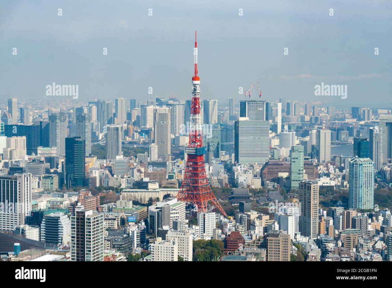Blick auf den Tokyo Tower in Japan Stockfoto