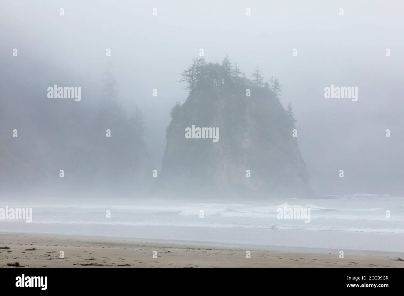 Nebel und niedrige Wolken treiben an Land und in den Wald, 2nd Beach, Olympic National Park Coastal Preserve, Washington USA. Stockfoto
